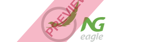 NG Eagle Rectangular logo