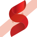 Southwind airlines Square logo
