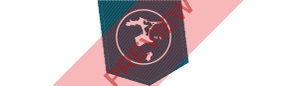 Air Chathams Rectangular logo