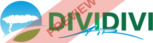 Divi Divi Air Rectangular logo