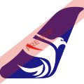 Freedom Airline Express Square logo