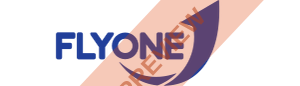 Fly One Rectangular logo