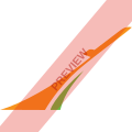 Niger Airlines Square logo