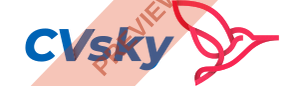 CVsky Rectangular logo