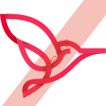 CVsky Square logo