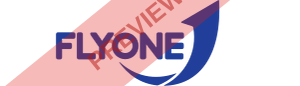 FlyOne Asia Rectangular logo