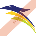 Transnusa Square logo