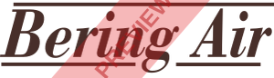 Bering Air Rectangular logo