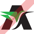 Regional Air Square logo
