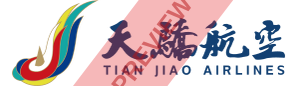 Tian Jiao Airlines Rectangular logo