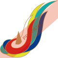 Tian Jiao Airlines Square logo