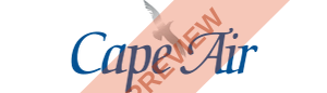 Cape Air Rectangular logo