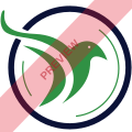 African Express Airways Square logo