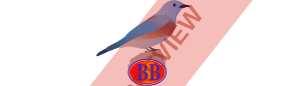 Bluebird Aviation Rectangular logo