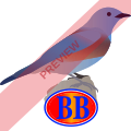 Bluebird Aviation Square logo
