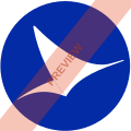 Medsky Airways Square logo
