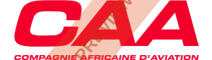 flyCAA Rectangular logo