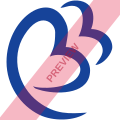 Blue Bird Airways Square logo