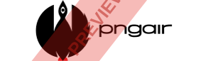 PNG Air Rectangular logo