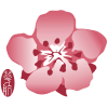 China Airlines logo