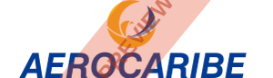 Aerocaribe (Venezuela) Rectangular logo