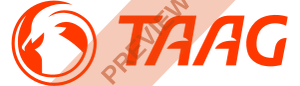 TAAG Angola Rectangular logo