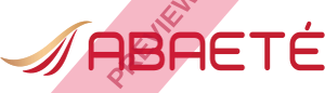 Enter Air Rectangular logo