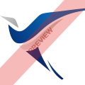 Link Airways Square logo