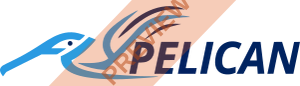FlyPelican Rectangular logo