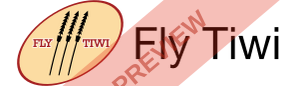 Fly Tiwi Rectangular logo