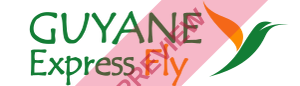 Guyane Express Fly Rectangular logo