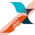 Nexus Airlines Square logo