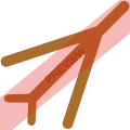 GetJet Airlines Square logo