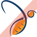 HiSky Europe Square logo