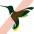 CM Airlines Square logo