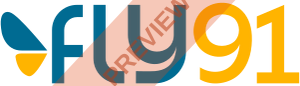 Fly91 Rectangular logo