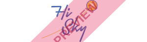 Southern Sky Airlines Rectangular logo