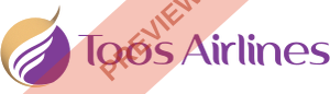 Toos Airline Rectangular logo