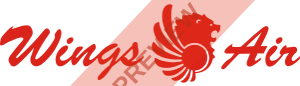 Wings Air Rectangular logo