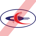 Yemenia Square logo