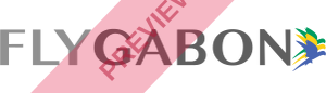 FlyGabon Rectangular logo