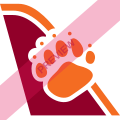Bearskin Airlines Square logo