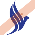 Aero Nomad Airlines Square logo