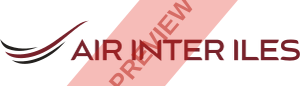 Air Inter Iles Rectangular logo