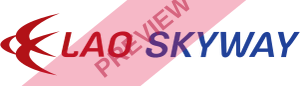 Lao Skyway Rectangular logo