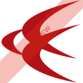 Lao Skyway Square logo