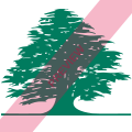 Middle East Airlines Square logo