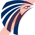 Egyptair Square logo