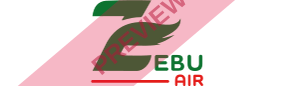Zebu Air Rectangular logo