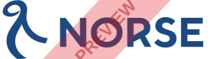 Norse Atlantic Airways Rectangular logo